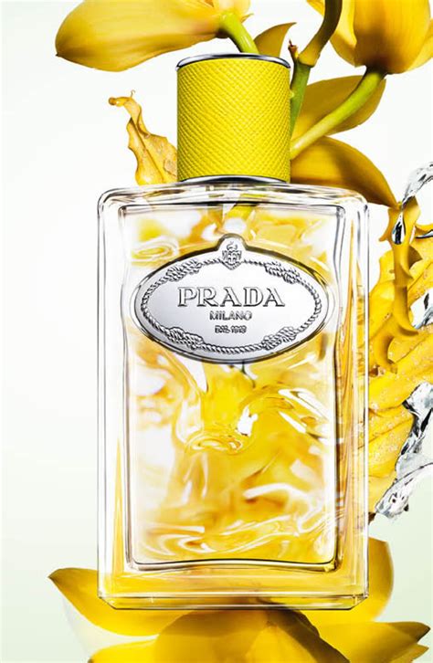 infusion d'ylang Prada